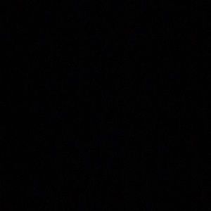 Meet your Posher, Donnivan